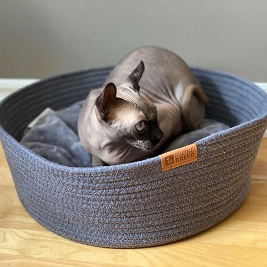 Lit réconfort pour chats, gris foncé Image NaN