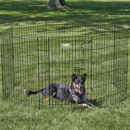 Exercise pen with door for dogs Image NaN