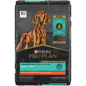Development Sensitive Skin and Stomach Salmon and Rice Dry Food Puppy Formula, 7.26 kg