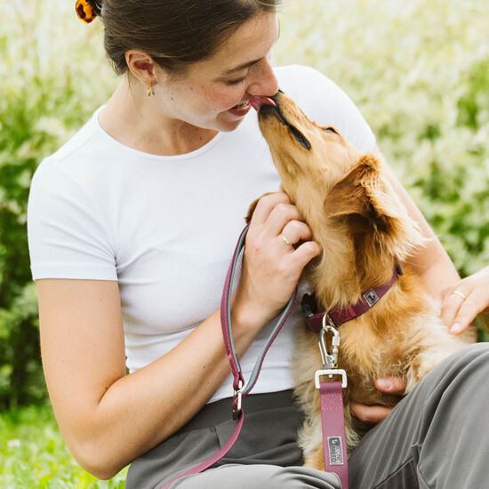 Silicone Collar for Dogs, Burgundy Image NaN