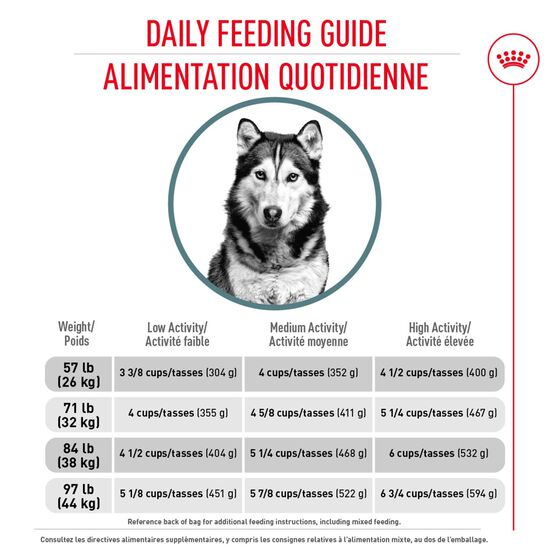 Formule soins des articulations pour chien adulte de grande race Image NaN
