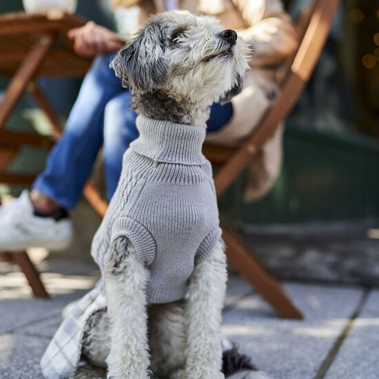 Sweater-dress for Small Dogs Image NaN