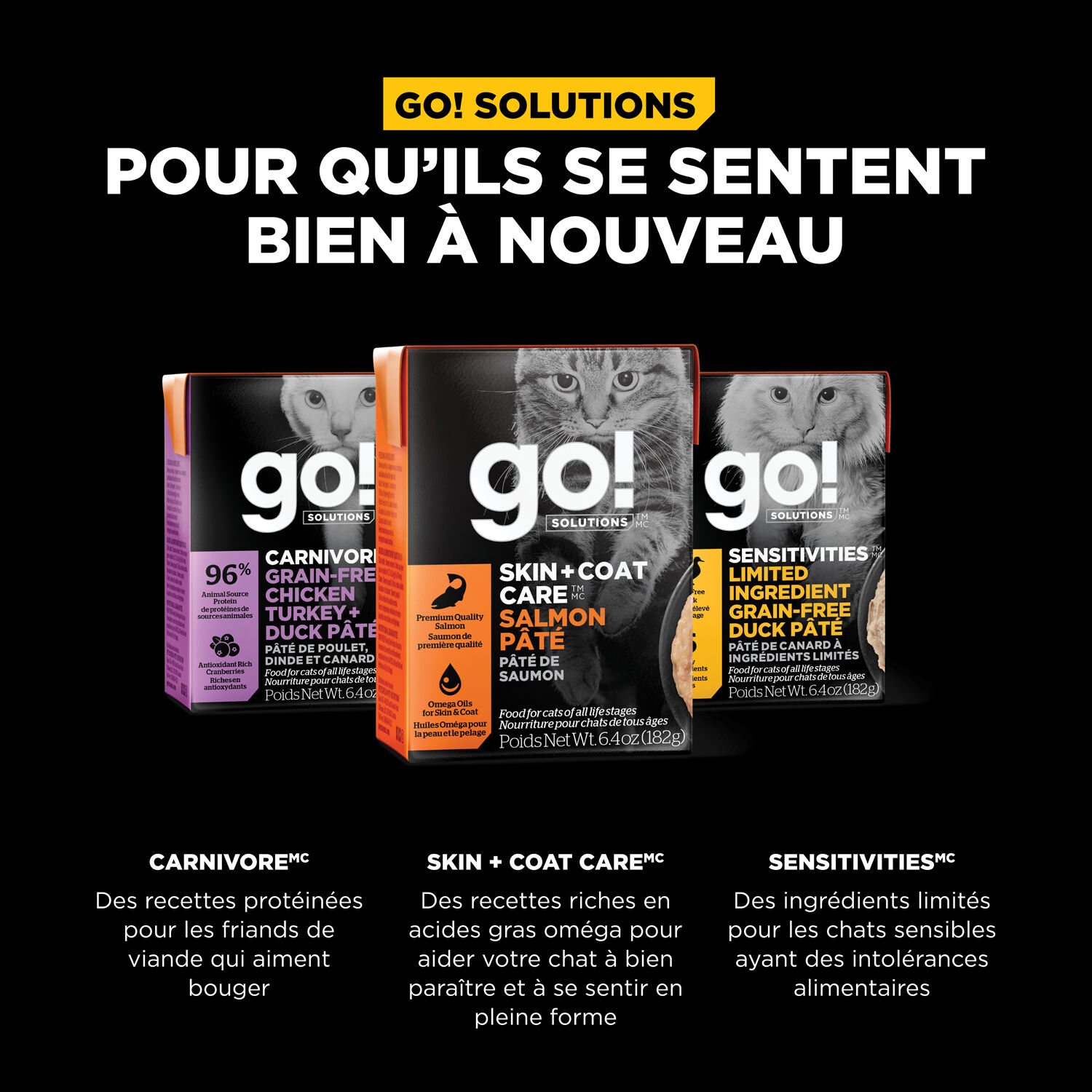 Skin + Coat Care Salmon Pâté for Cats, 182 g Go! Solutions Mondou