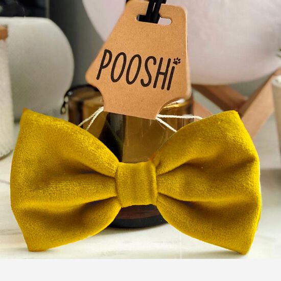 Bow Tie for Cats and Dogs Image NaN