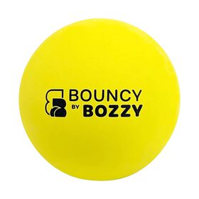 Balle rebondissante pour chiens