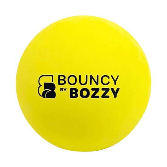 Balle rebondissante pour chiens Image NaN