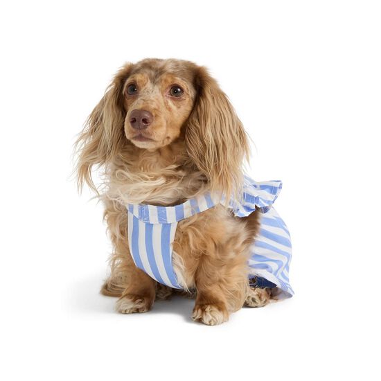 Striped Poplin Dress for Dogs Image NaN
