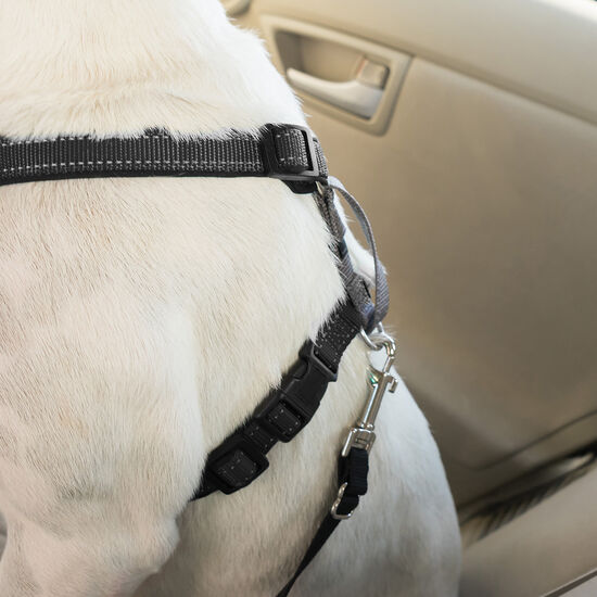 3 in 1 Harness & car restraint for dogs Image NaN