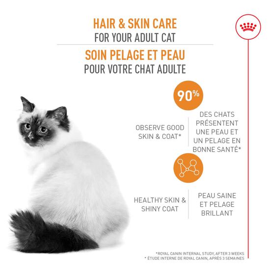 Nourriture sèche formule soin pelage et peau pour chats adultes Image NaN