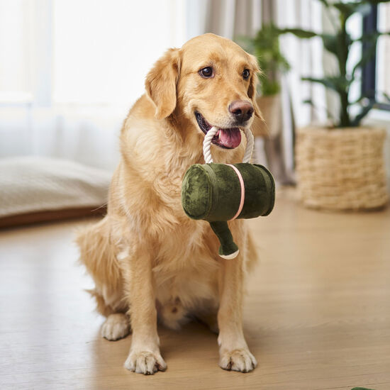 Jouet peluche pour chiens, arrosoir Image NaN