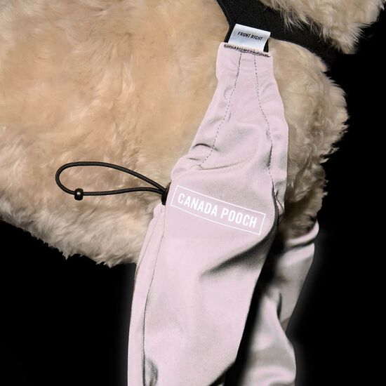 Reflective Suspender Boots for Dogs Image NaN
