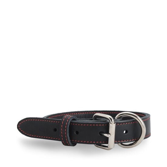 Black stitched leather collar Image NaN