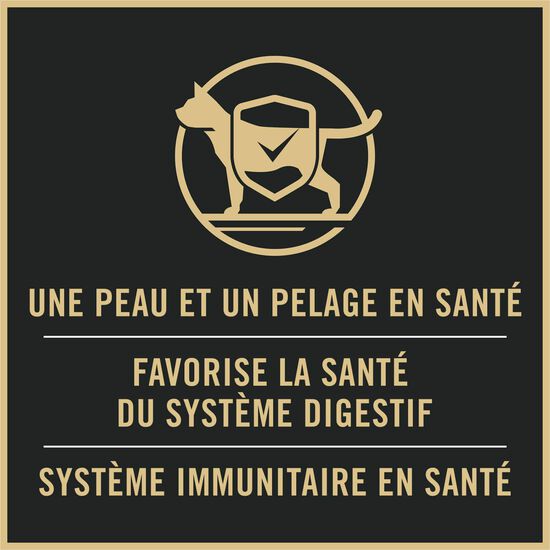 Specialized Sensitive Skin and Stomach Salmon and Rice Dry Food for Kitten, 3.18 kg Image NaN