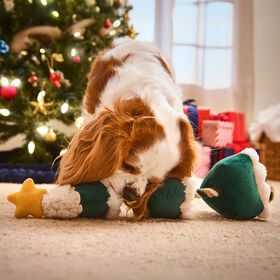 Jouet sapin Noël pour chiens