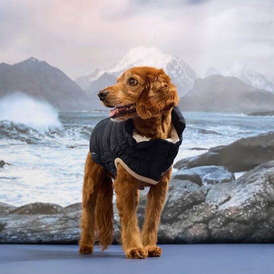 Manteau Elasto-fit&reg; Montagne froide pour chiens, Bleu marin Image NaN