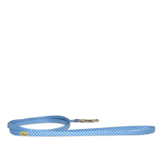 Leash for Tiny Dogs, blue dots Image NaN