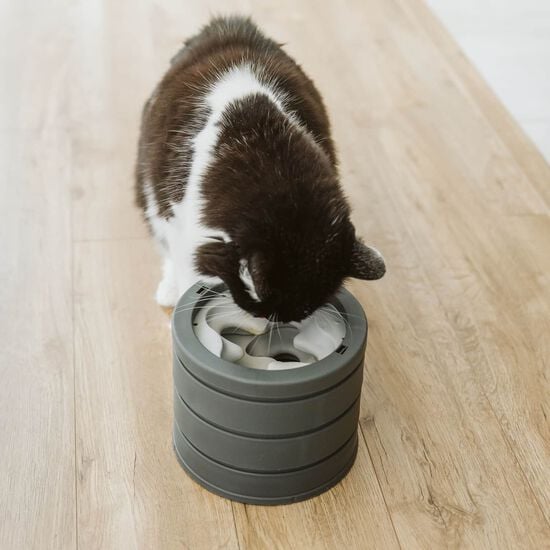 Intellikatt 2.0 Image NaN