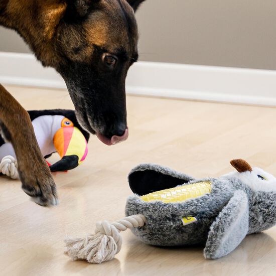 Peluche de chouette pour chiens Image NaN