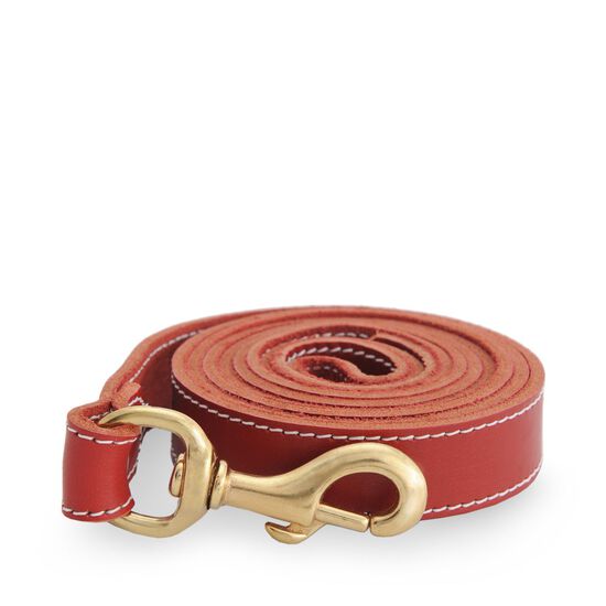 Red stitched leather leash Image NaN