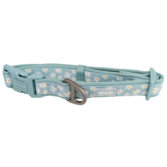 Neoprene Collar for Dogs, Summer Daisies Image NaN