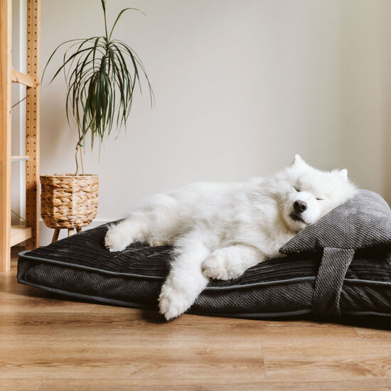 Lit double confort, Gris chic Image NaN