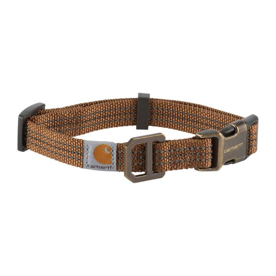 Collier pour chiens Image NaN