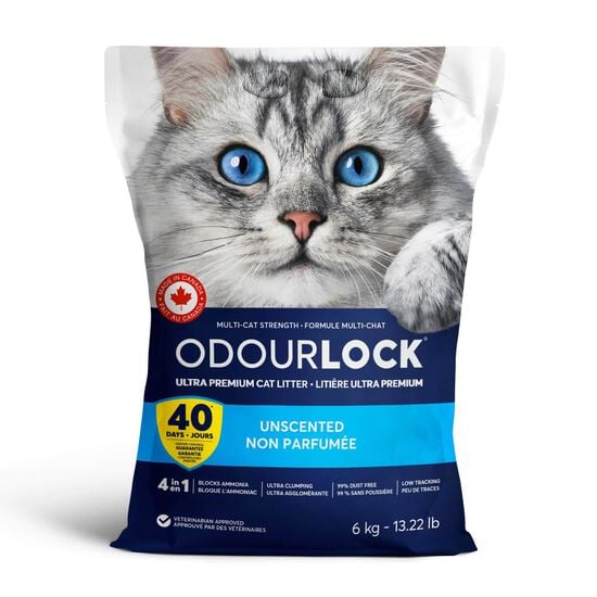 Liti&egrave;re agglom&eacute;rante Image NaN