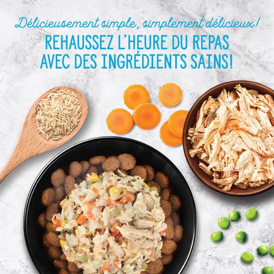 Garniture Style maison bol de poulet et riz pour chiens, 152 g Image NaN