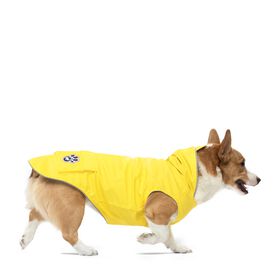 Yellow raincoat for dogs