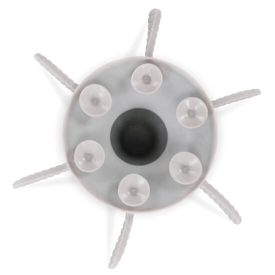 Insert pour gamelle avec ventouse Image NaN