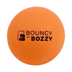 Balle rebondissante pour chiens