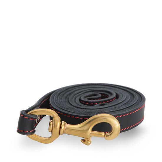 Laisse noire en cuir cousu Image NaN