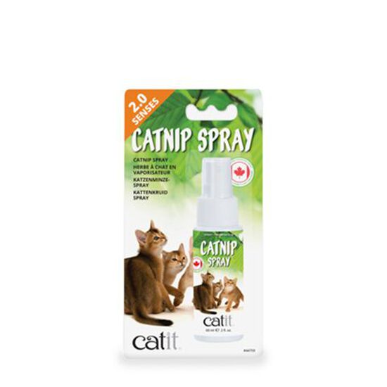 Herbe à chat - chaton - spray éducation