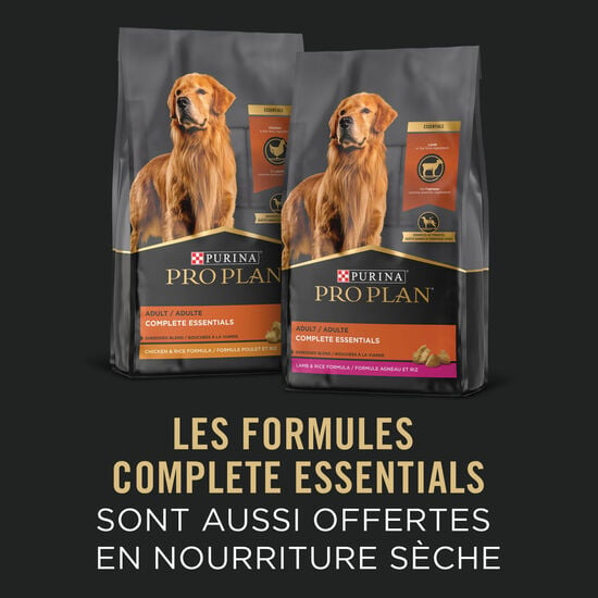 Entrée de boeuf et riz humide formule « Complete Essentials » pour chiens, 368 g Image NaN