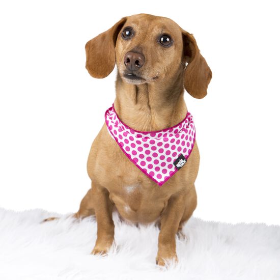 Bandana en coton pour chiens et chats Image NaN
