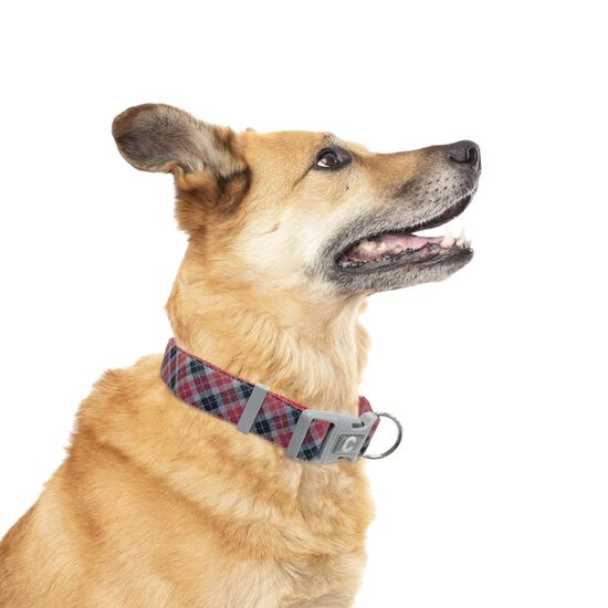 Collier ajustable pour chiens, carreaux Image NaN