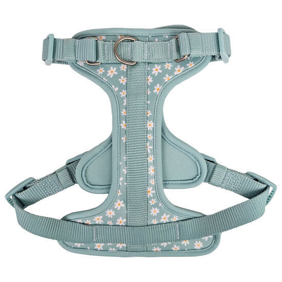 Harnais pour chiens, Marguerite estivale Image NaN