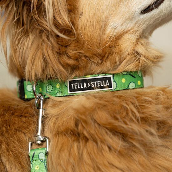 Collier r&eacute;glable pour chiens Image NaN