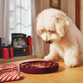 Bol ralentisseur montagnes pour chiens