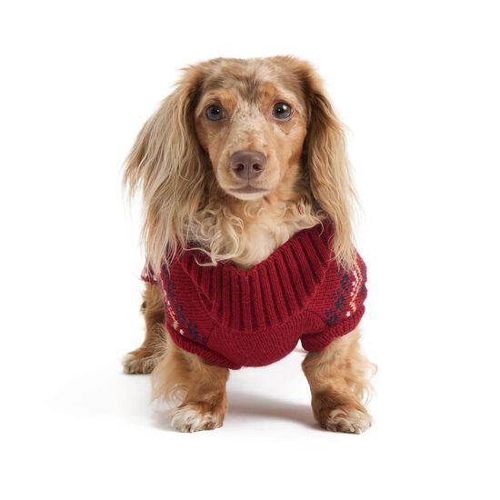 Tricot jacquard &agrave; col montant pour chiens Image NaN