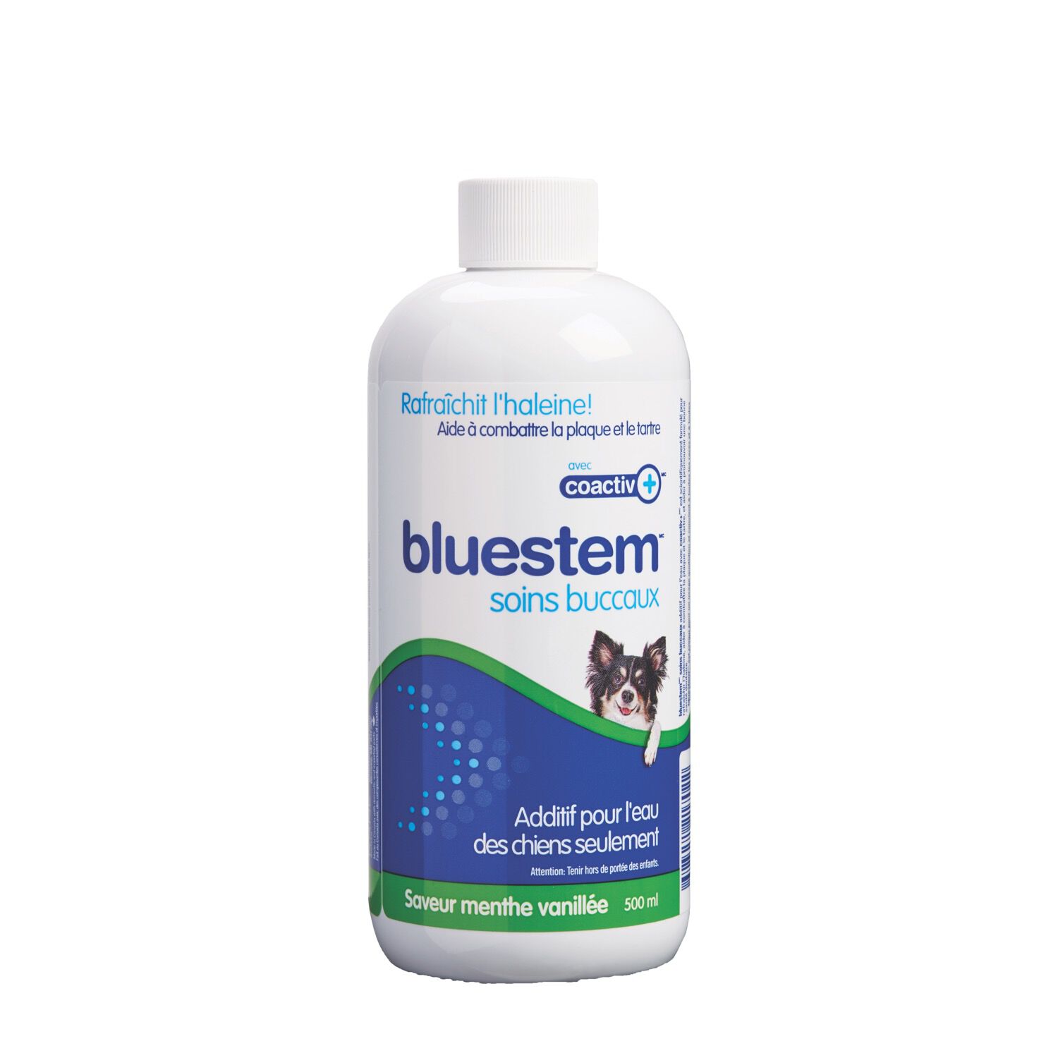 Oral Care Water Additive for Dogs, vanilla mint flavour Bluestem Mondou