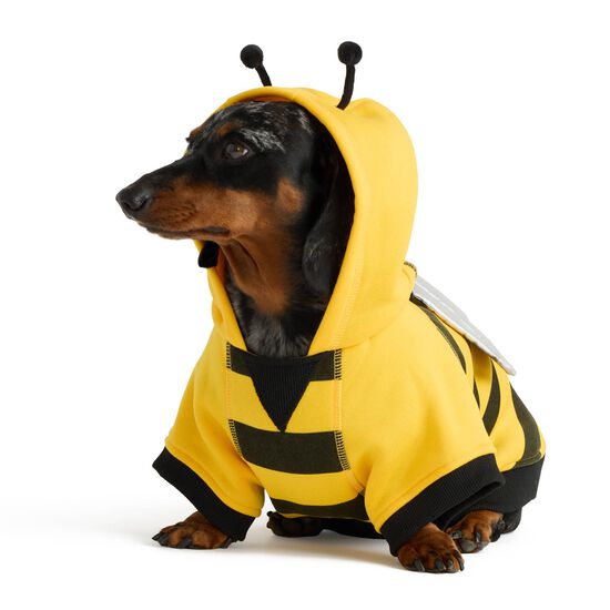 Fun Bee Fleece Hoodie with Wings and Antennas for Dogs Image NaN