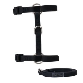 Ensemble harnais et laisse en silicone pour chats, Noir