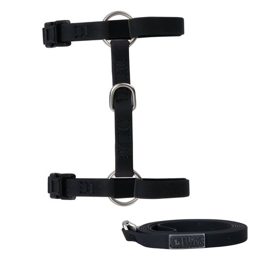 Ensemble harnais et laisse en silicone pour chats, Noir Image NaN