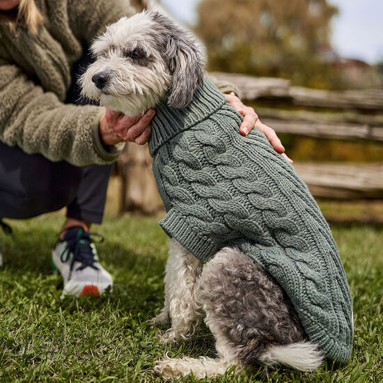 Pull chalet à col roulé en grosse maille torsadée pour chiens Image NaN