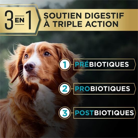 Nourriture s&egrave;che AdvantEDGE Soutien+ digestif au saumon et farine d'avoine pour chiens, 10 kg Image NaN