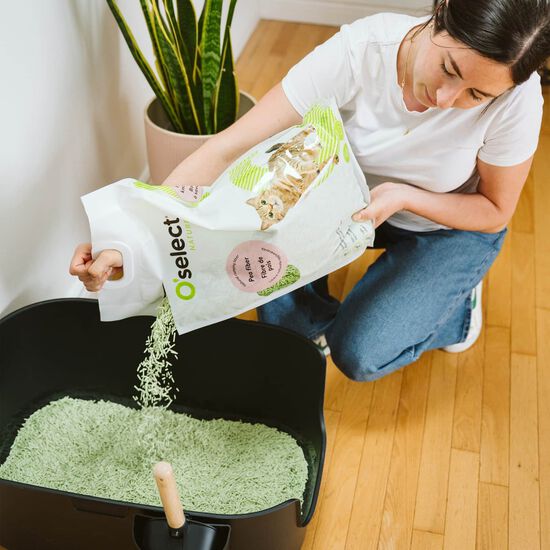 Green Tea Scented Pea Fiber Natural Clumping Litter, 4.5 kg Image NaN