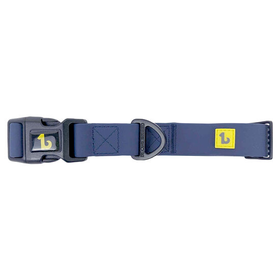 Collier en silicone pour chien, Sarcelle Image NaN