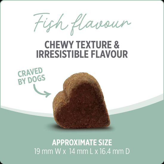 Skin and Coat Supplement for Dogs, 400 g Image NaN