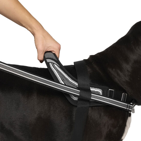 Redirect Harness for Dogs Image NaN